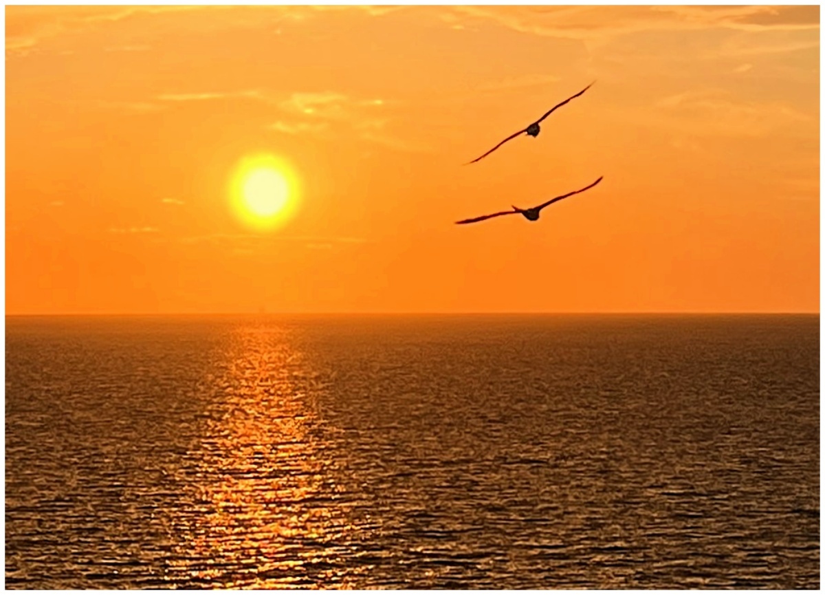 Gennarelli Joseph Flying Toward the Sun Nature   General   Class A 20251022